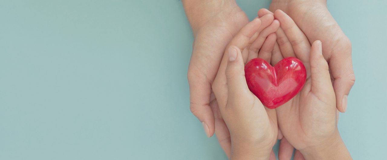 hands holding red heart, love, organ donation, mindfulness, wellbeing, family insurance and CSR concept,