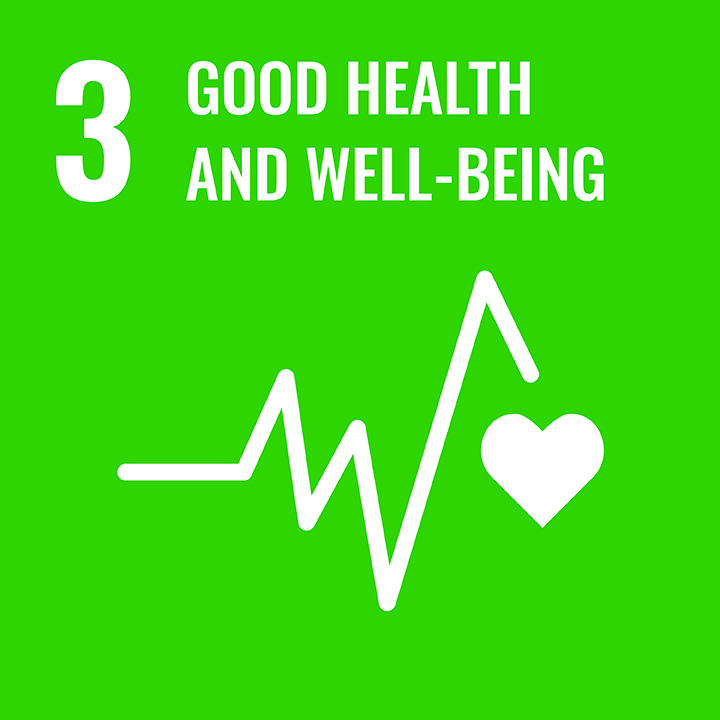 Heartbeat wave below the words "3 - Good Health and Well-Being" 
