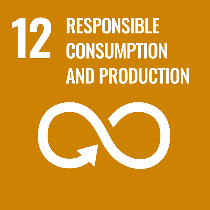 An infinity symbol with the words "12 - Responsible Consumption and Production" above it