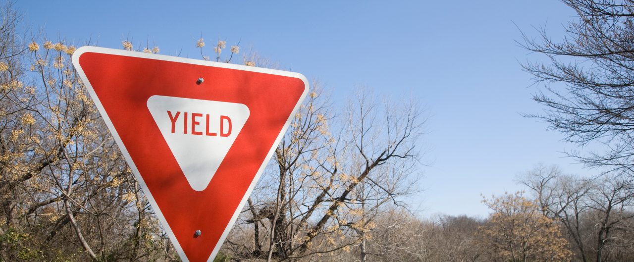 A yield sign in dappled sunlight and set in a park during winter.  Bare trees and clear blue sky.