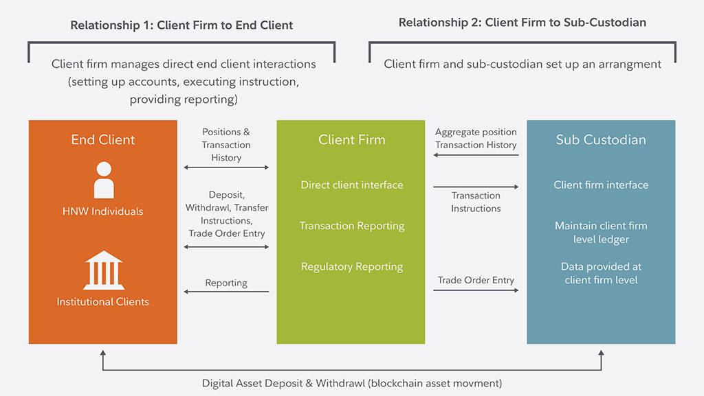 The diagram displays a potential structure where the sub-custodian holds an omnibus account in the name of the client firm, or primary custodian and the client firm handles segregation of end user assets on their behalf at the books and records level.