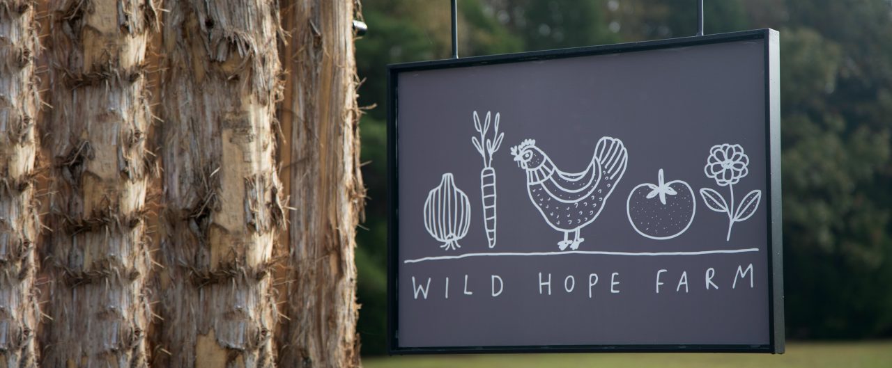 Business sign that says "Wild Hope Farm"