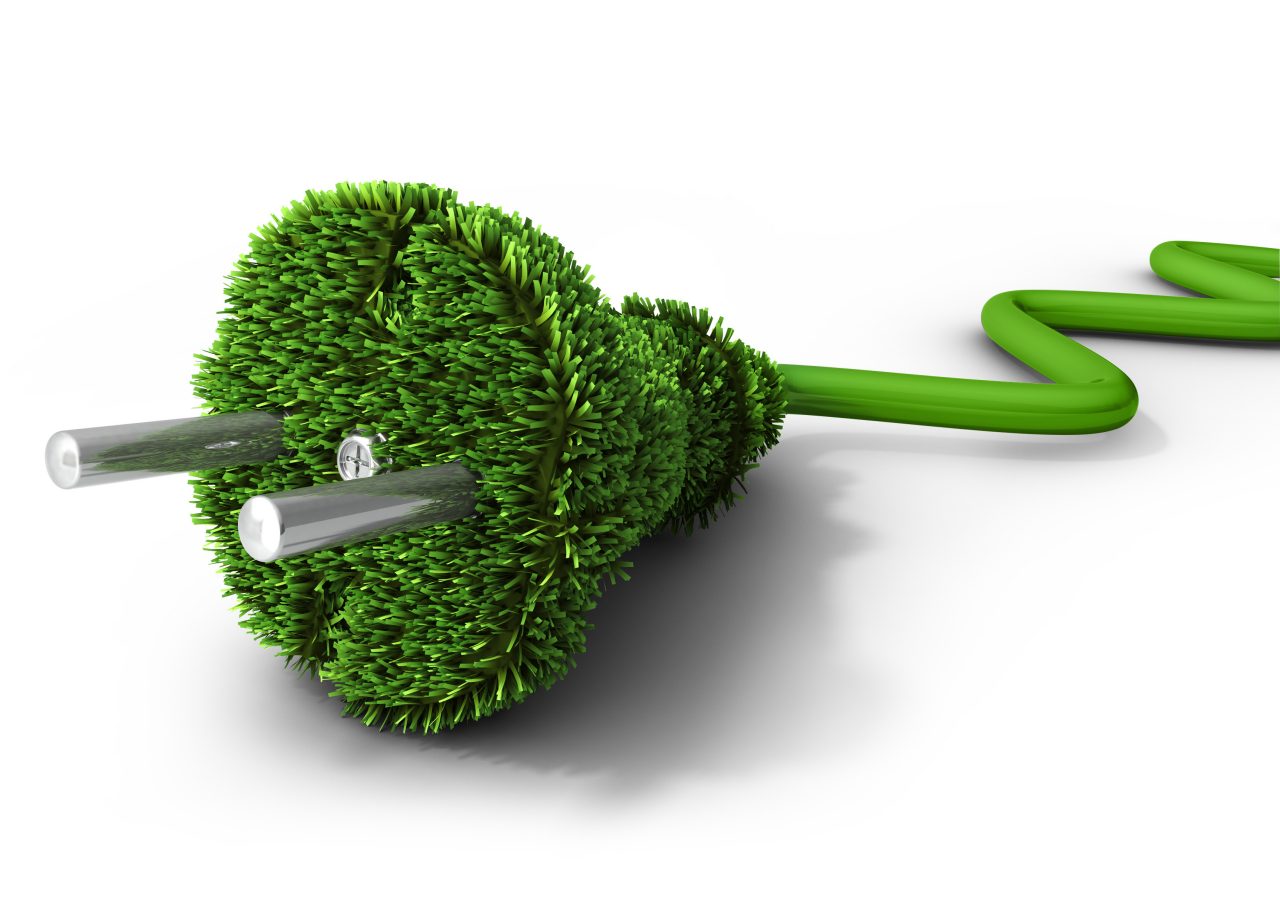 Electrical power plug covered with grass
