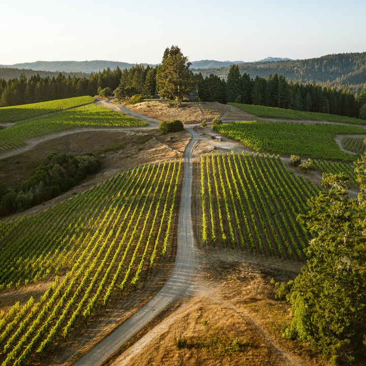 Ariel view of winery