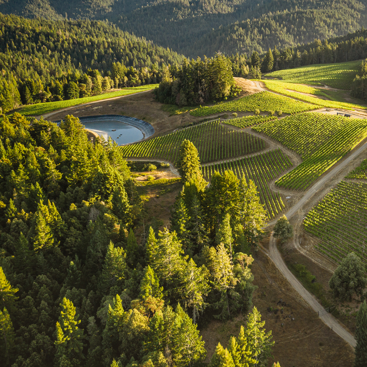 Ariel view of winery