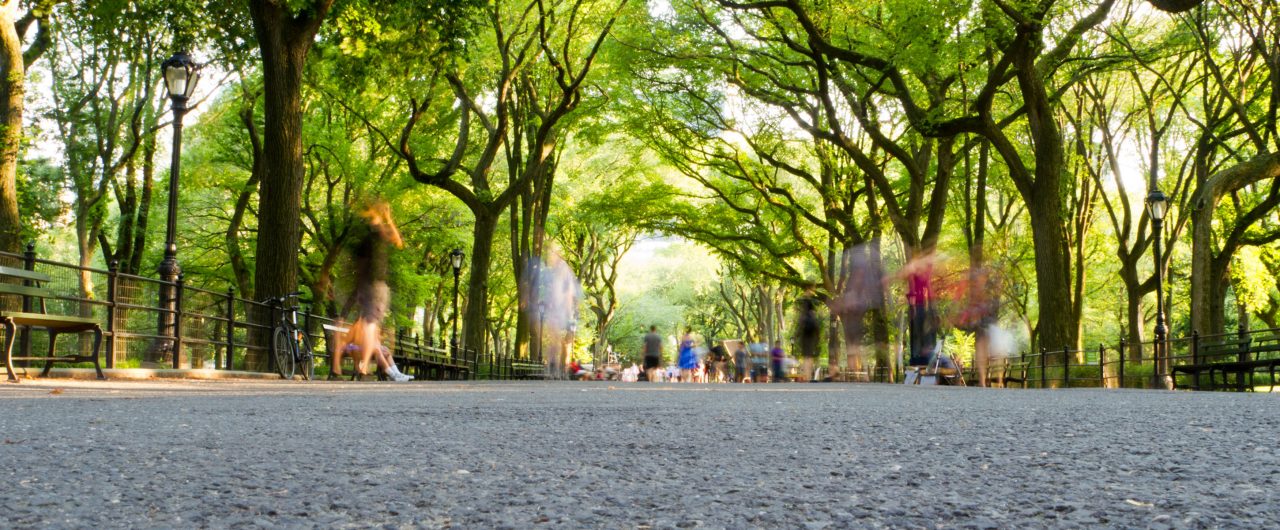 Blurry People Walking in Central Park