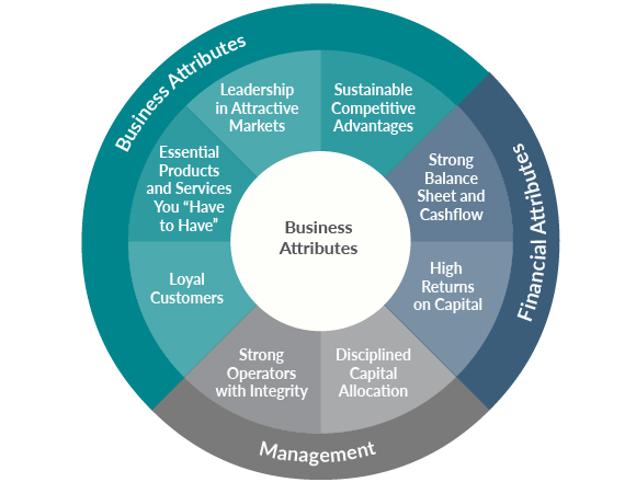 Investment Criteria Attributes for business, management, and financial attributes