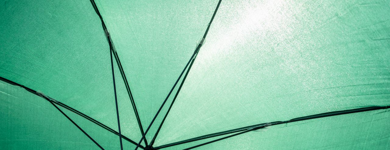 Bottom View of an Open Green Umbrella 