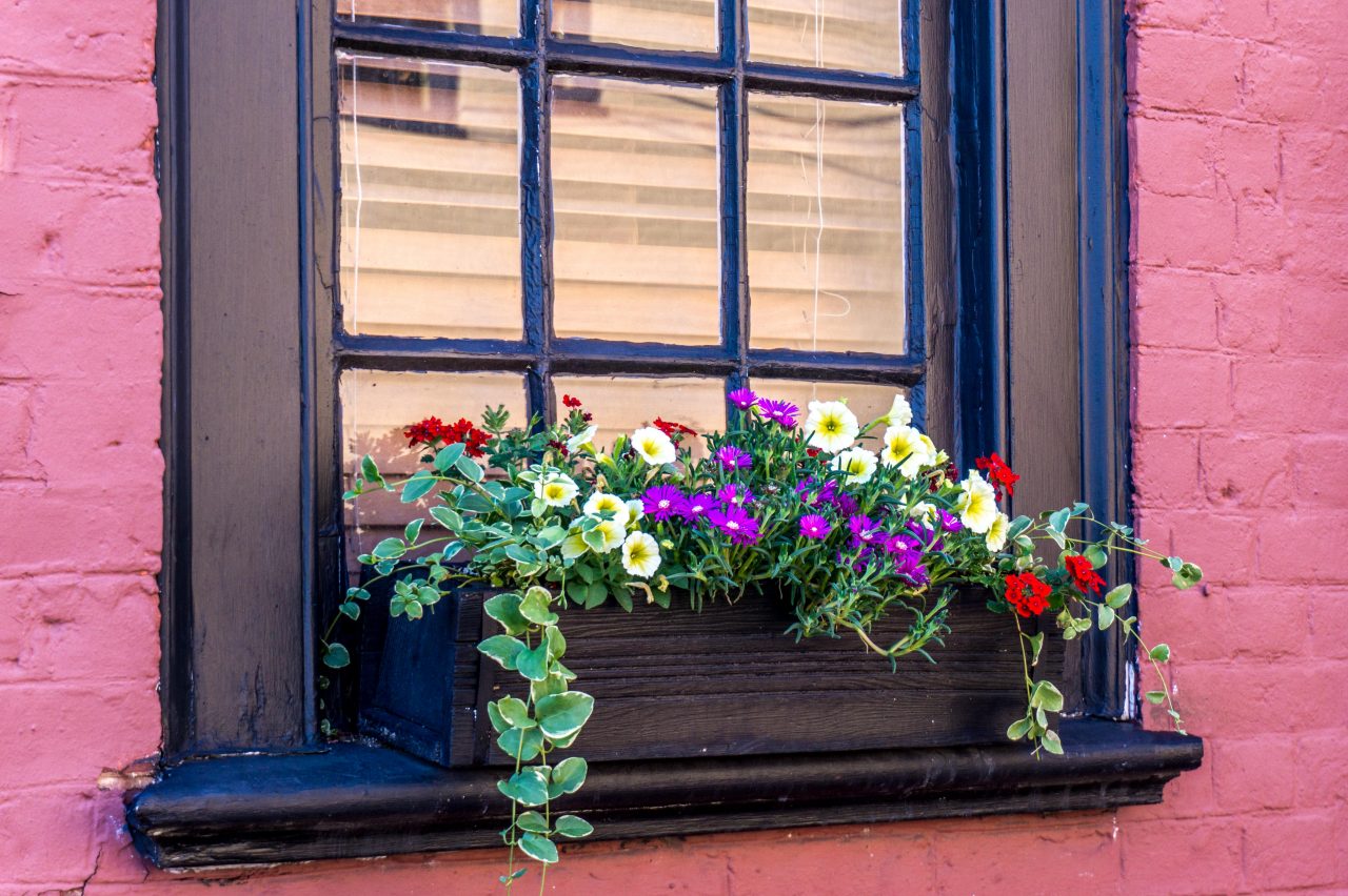 Flower box on on navy windowsill on pink brick wall