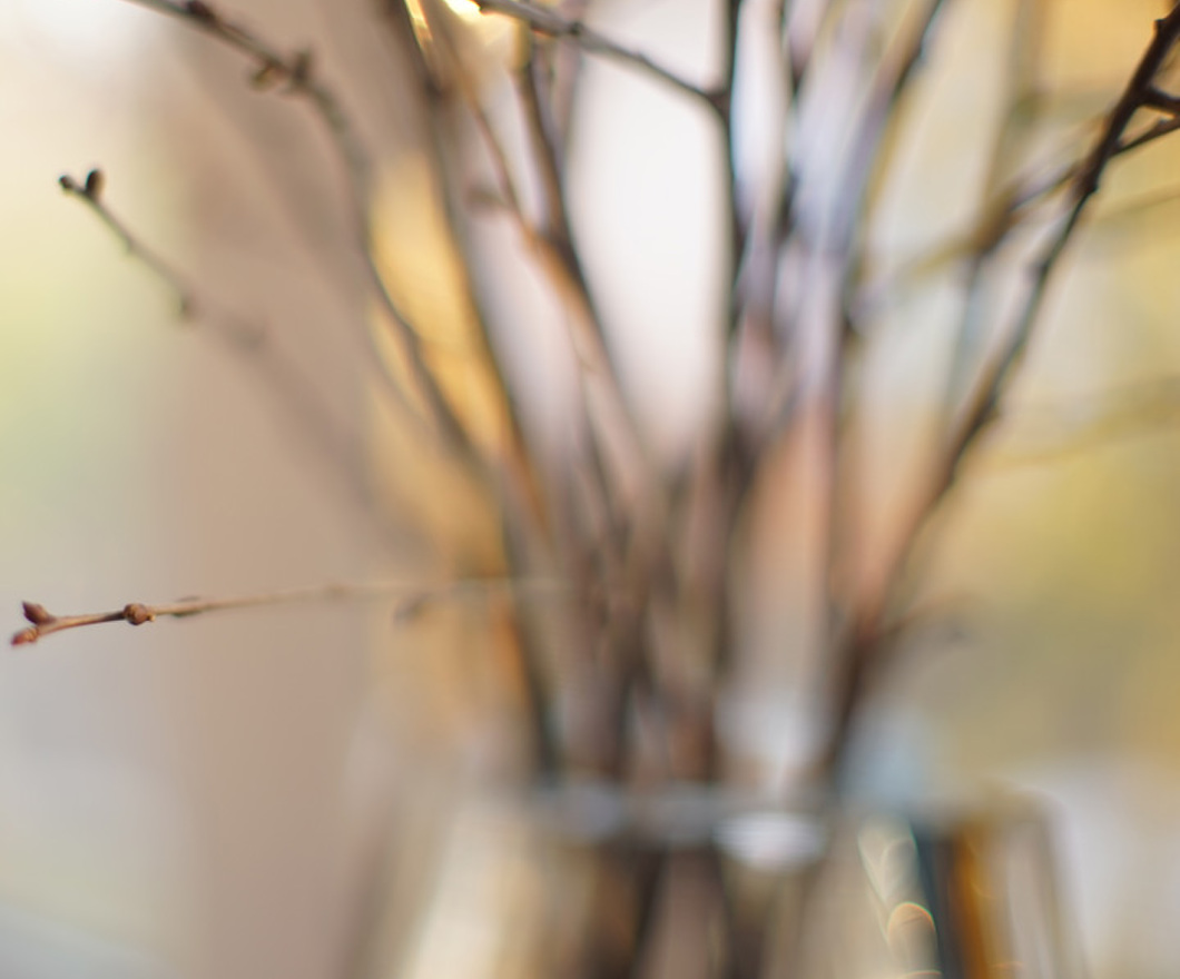 Thin branches in a vase on windowsill, soft focus