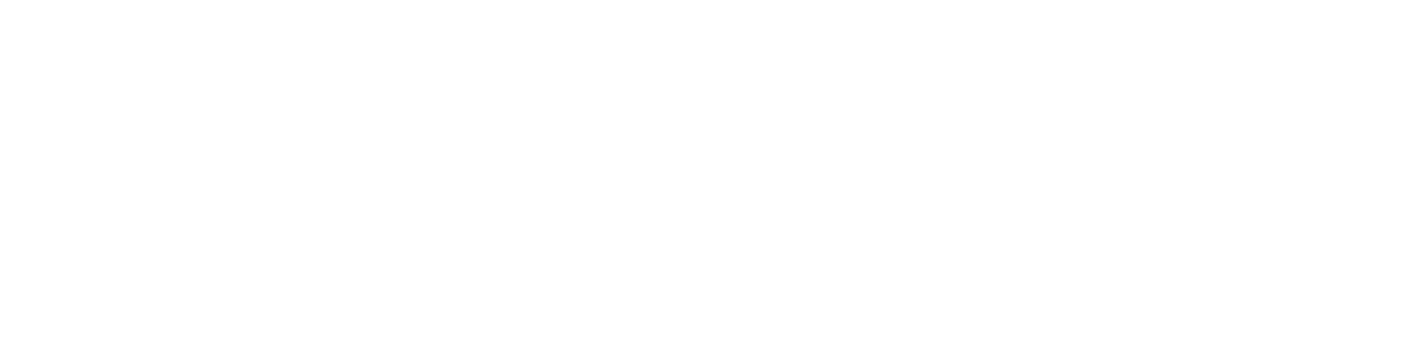 New America logo written in white with a white flag to the left.