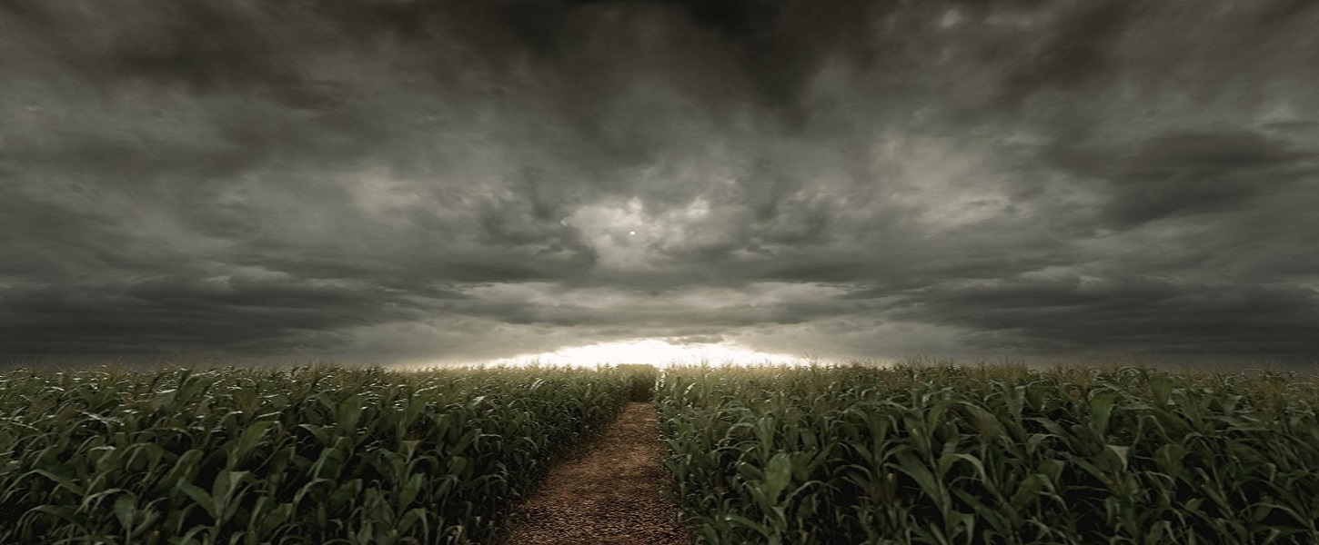 Pathway in the middle of a field under a stormy sky