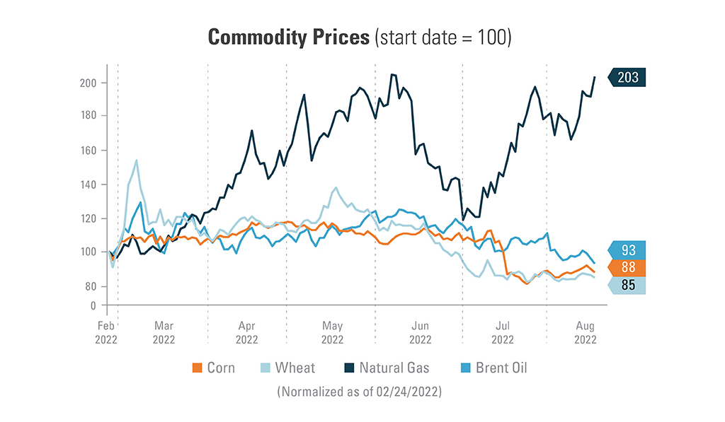 Chart explaining commodity prices comparing Brent oil (94), Natural Gas (198), Corn (88) and wheat (86). 