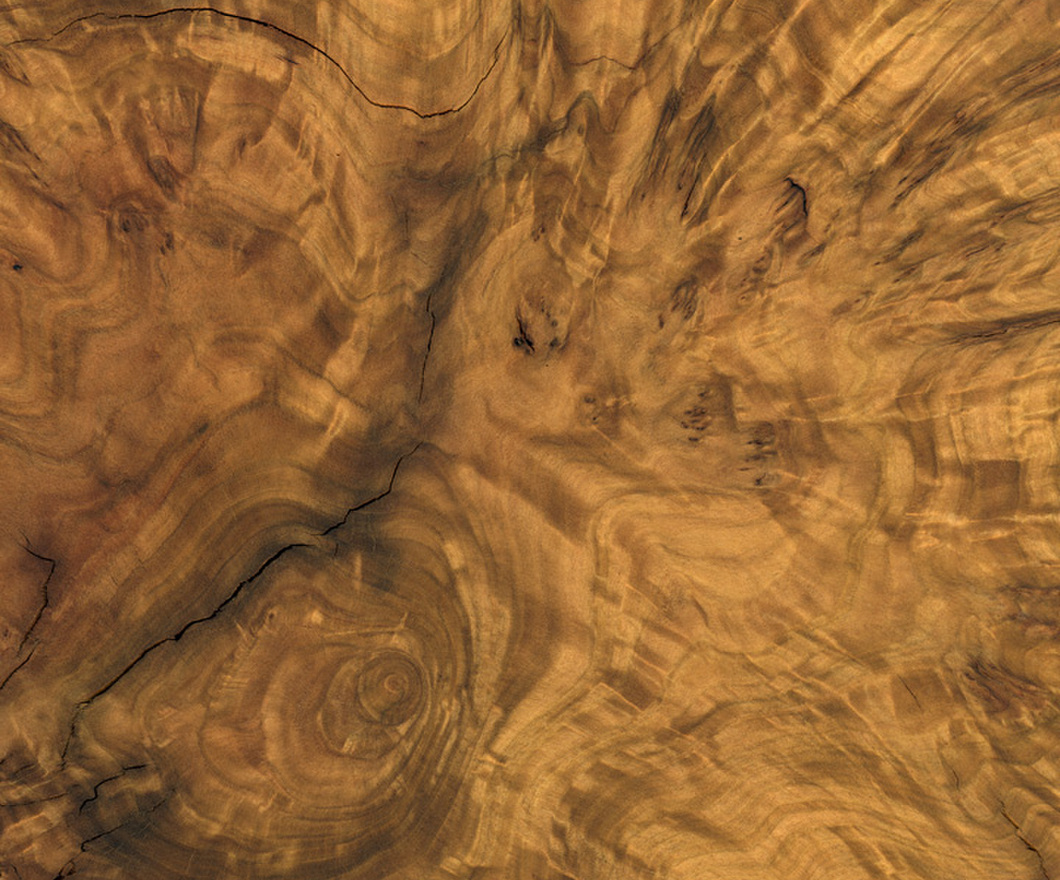 Natural wood displaying cracks and details throughout.