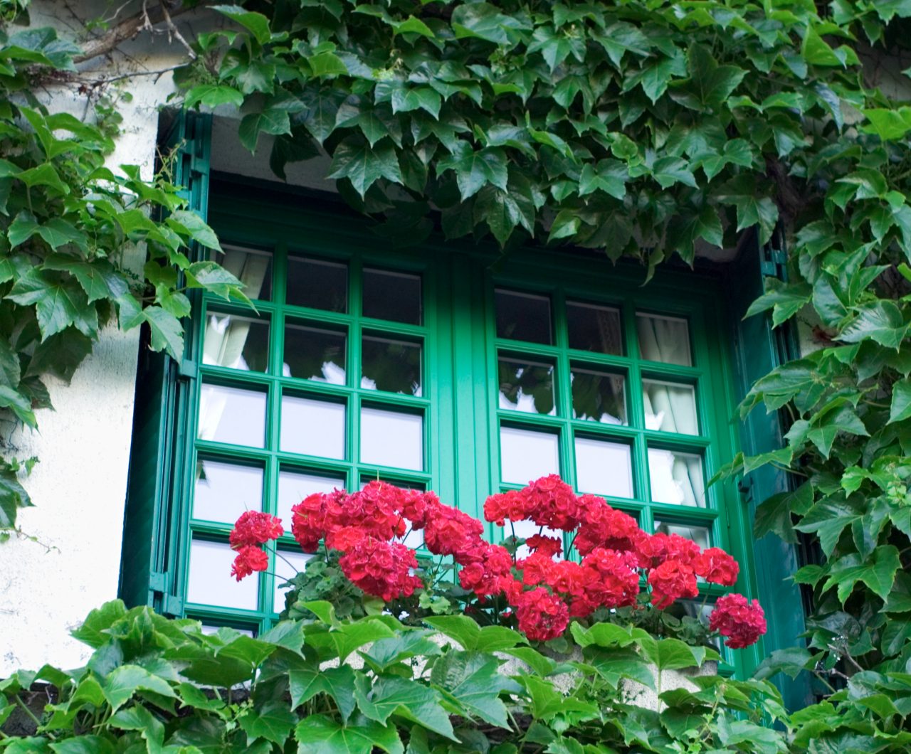 Green plants covering a home with the window uncovered and red flowers