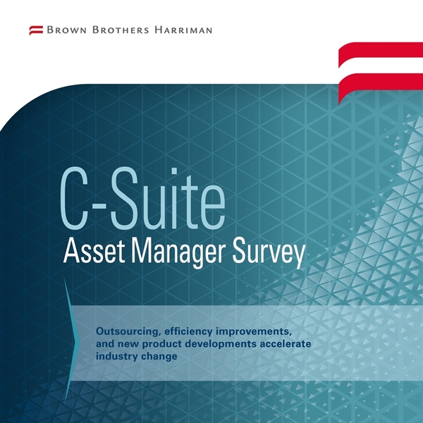 C-Suite Asset Manager Survey cover