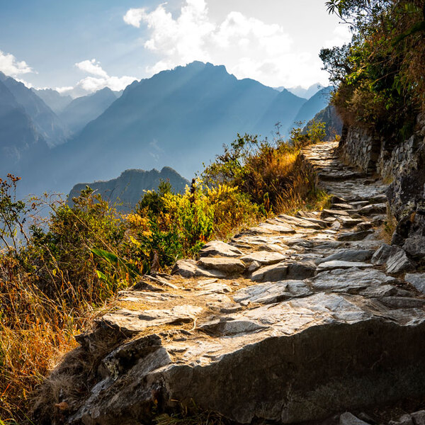 Sun beams through the cloud forest next to a partially lit Inca Trail