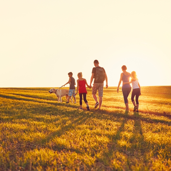 Family Walking in a Field with Setting Sun and a dog