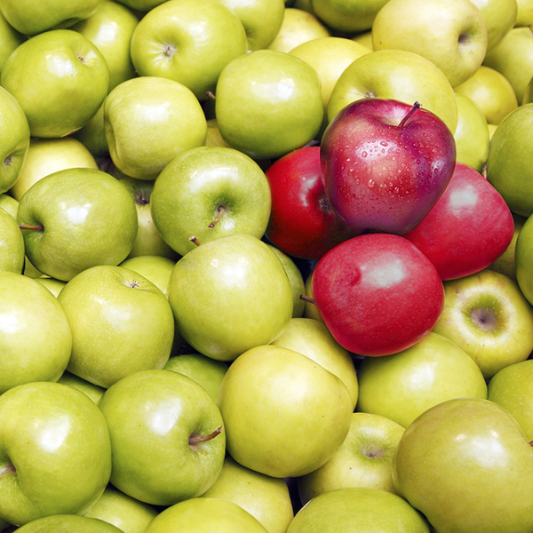 Huge pile of green apples, with 4 red apples placed on the top