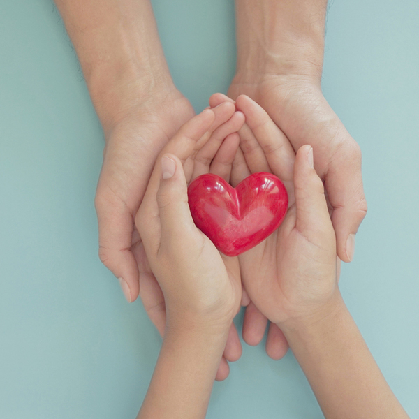 hands holding red heart, love, organ donation, mindfulness, wellbeing, family insurance and CSR concept,