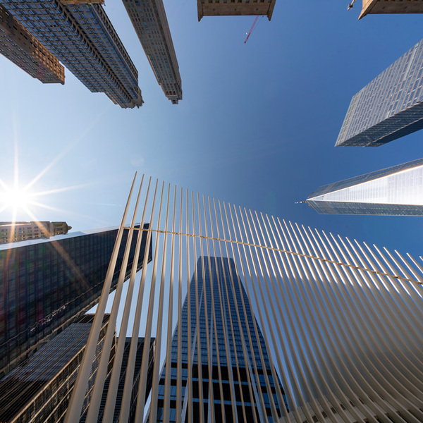 Image of skyscrapers and modern wavy figure taken from down below with a clear blue sky and shining sun