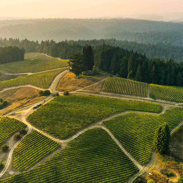 Ariel view of winery