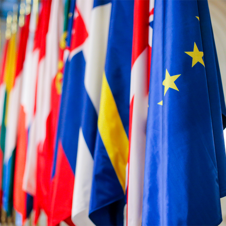 European Union member states flags one next to another