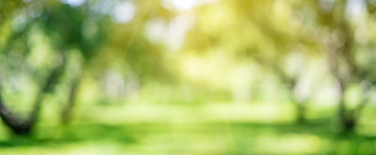 Care Compassion and Customer Care-banner