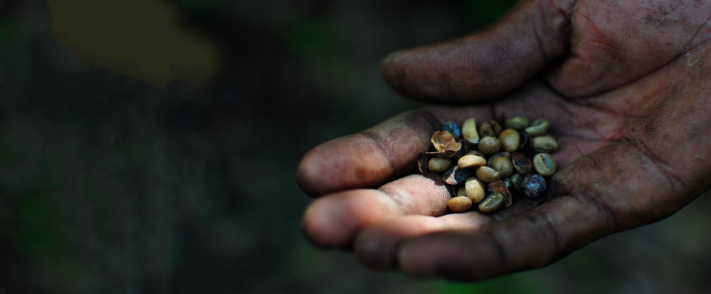 A dirty cupped hand holding seeds 