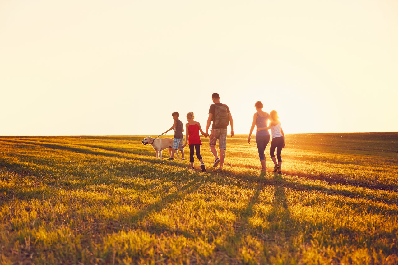 Family Walking in a Field with Setting Sun