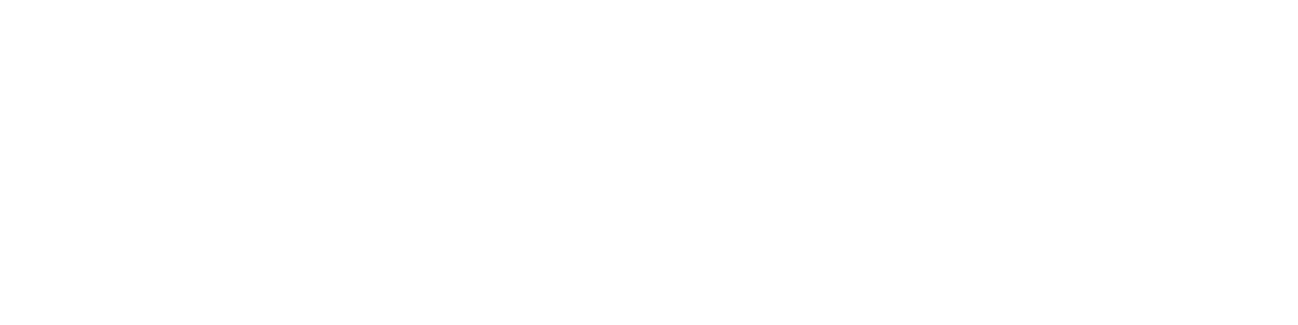 New America logo written in white with a white flag to the left.