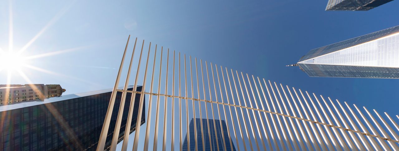 Image of skyscrapers and modern wavy figure taken from down below with a clear blue sky and shining sun